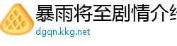 暴雨将至剧情介绍